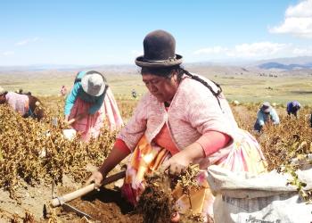 Women in Bolivia photo credits FAO