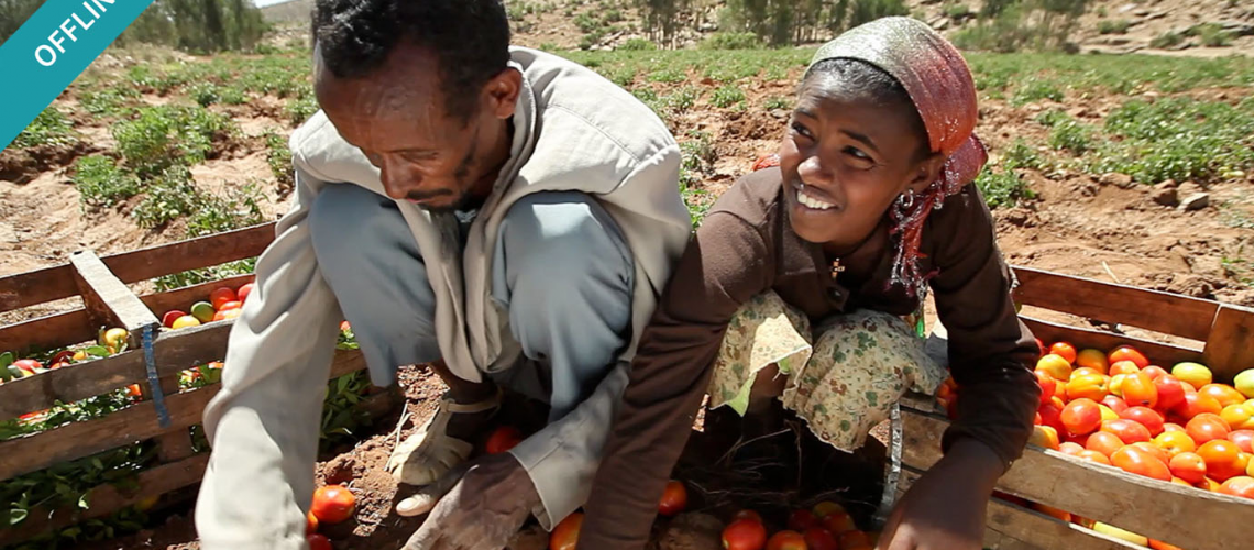 Man and woman working in a field