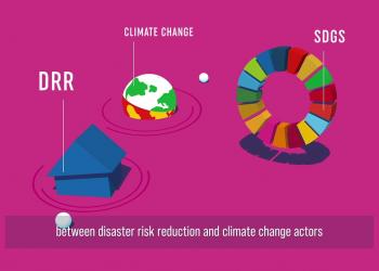 Embedded thumbnail for Developing National DRR Strategies